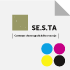 Logo SE.S.TA (křivky, PDF barevnost CMYK)