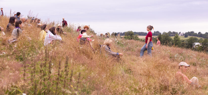 Kráčej kroky kamenů (KoresponDance 2025) | Foto: Alena Češková