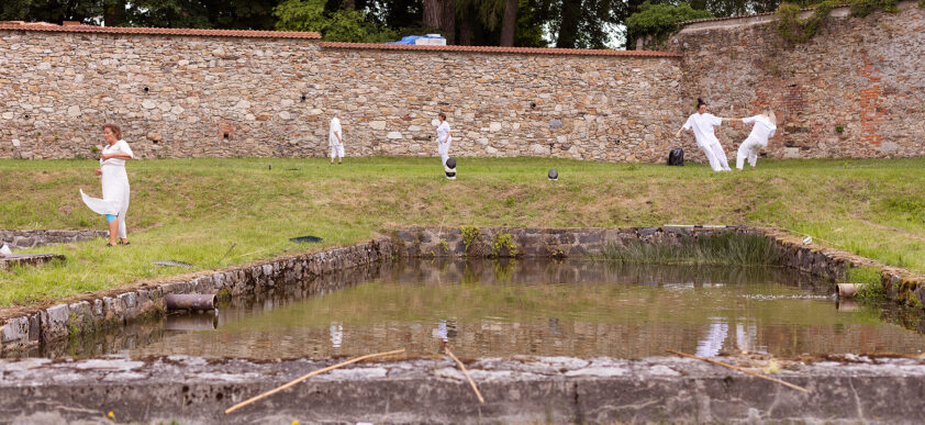 Divoká karta (KoresponDance 2025) | Foto: Adéla Vosičková