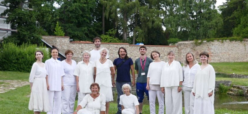 Divoká karta (KoresponDance 2025)